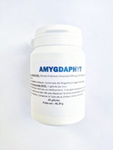 Amygdaphyt Interphyt